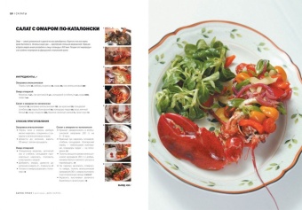 Салаты. Коллекция лучших рецептов в ШефСтор (chefstore.ru) 2