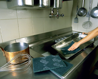 Абразивная губка SB 96 зеленая (60 шт) 3M 7000033389 в ШефСтор (chefstore.ru) 8