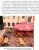 Летние площадки: создание и управление в ШефСтор (chefstore.ru) 5