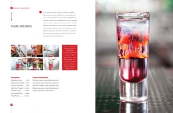 Миксология. 100 коктейлей от президента Б.А.Р. в ШефСтор (chefstore.ru) 6