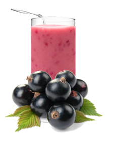 Сироп для молочных коктейлей Icedream Черная смородина в компании ШефСтор