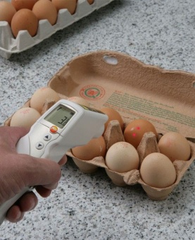 Инфракрасный термометр 831 Testo 0560 8316 в ШефСтор (chefstore.ru) 3