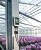 4-канальный логгер данных температуры 176 H1 Testo 0572 1763 в ШефСтор (chefstore.ru) 4