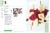 Итальянское меню. Авторские рецепты знаменитых поваров с иллюстрированными мастер-классами в ШефСтор (chefstore.ru) 8