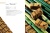 Уpoки и тexникa кoндитepcкoгo мacтepcтвa в ШефСтор (chefstore.ru) 20