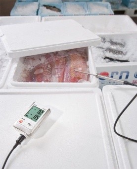 2-х канальный логгер данных температуры 175 T2 Testo 0572 1752 в ШефСтор (chefstore.ru) 4