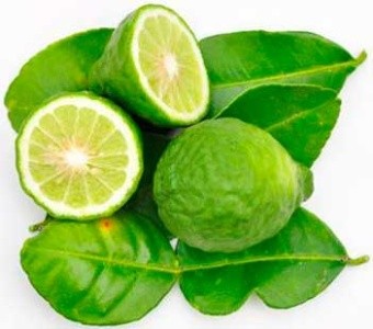 Сироп Бергамот (пэт, 0,75л.) Miller&Miller Bergamot в ШефСтор (chefstore.ru) 2